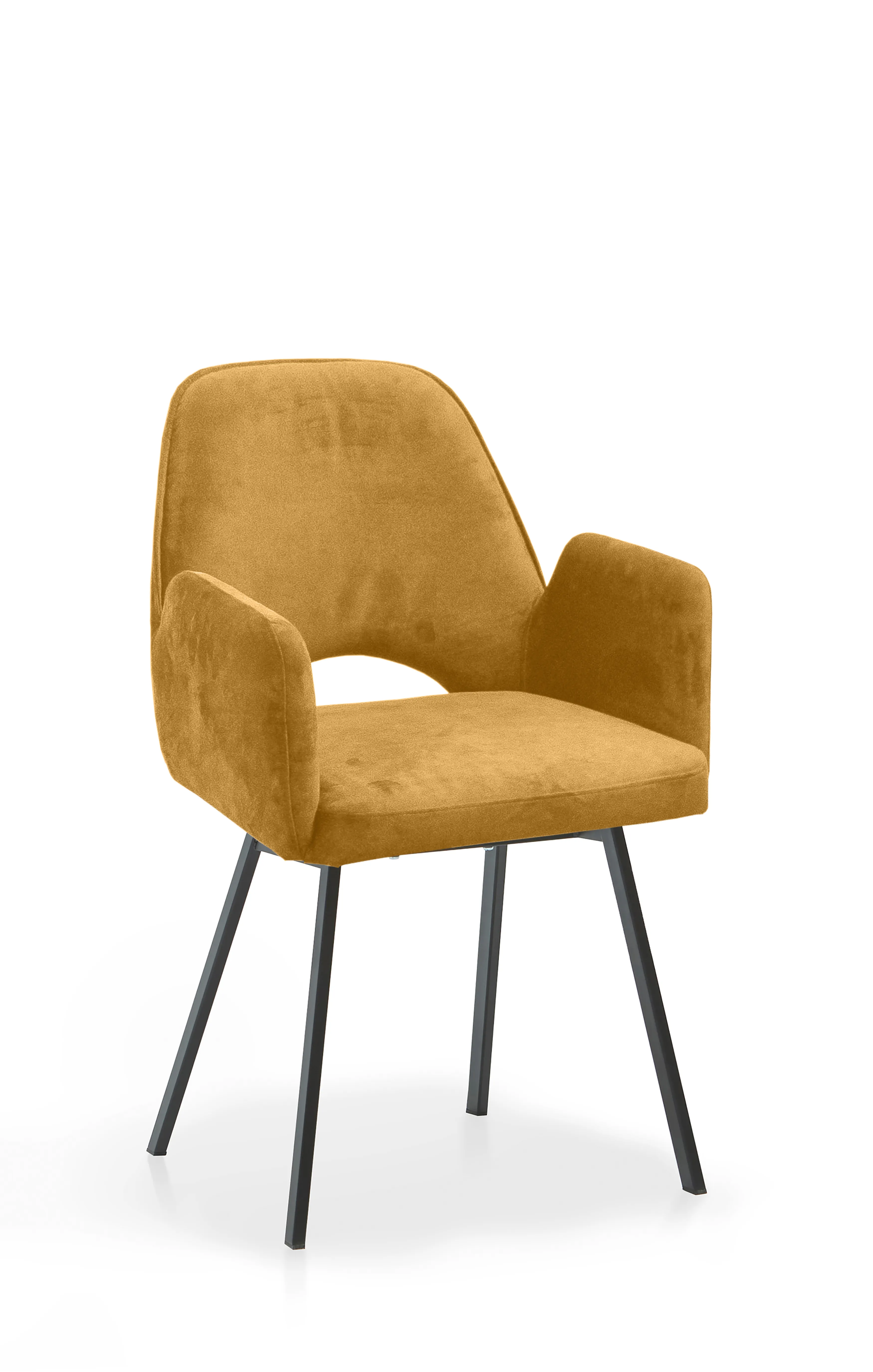 Stuhl Lassan 501.jpg