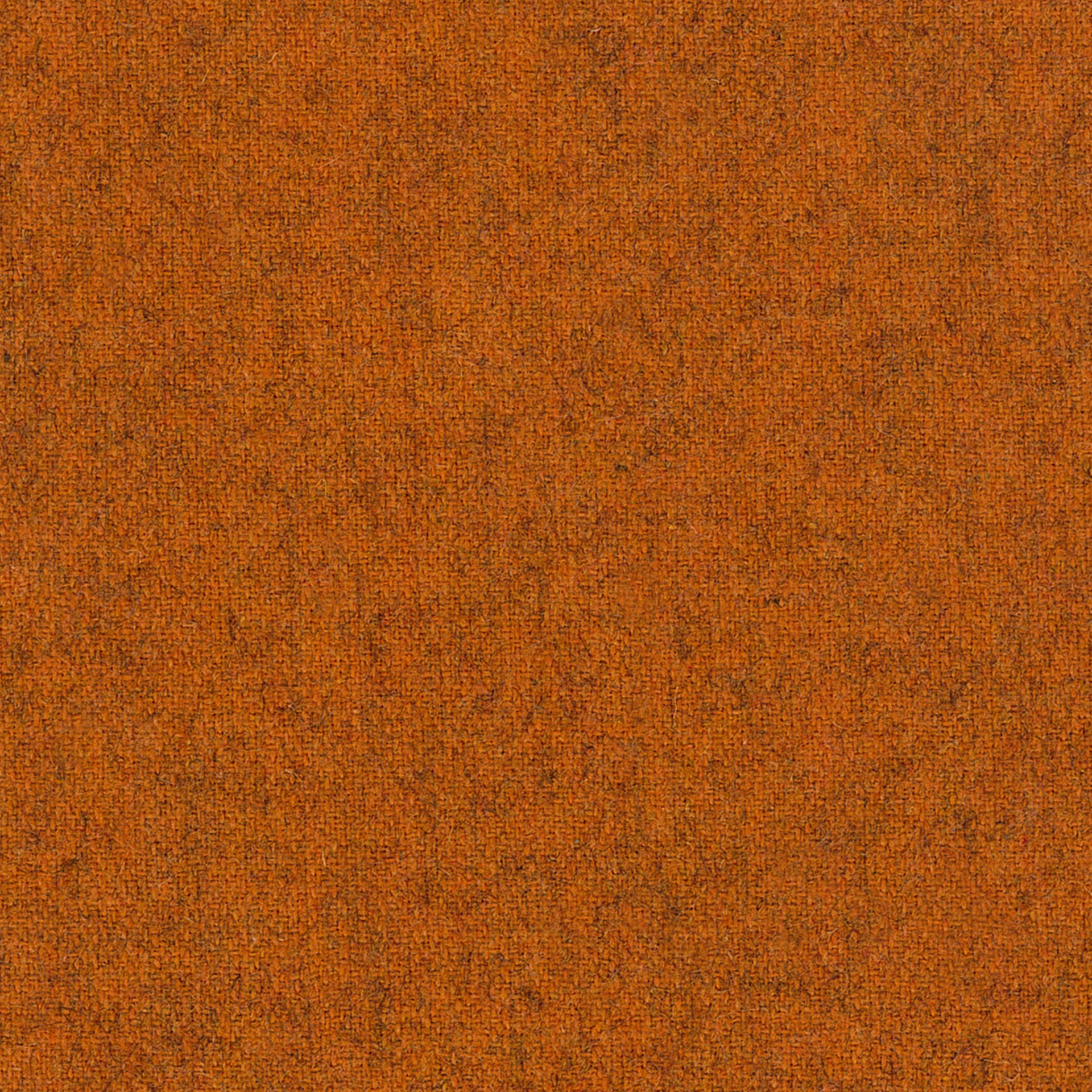 Woolland 19