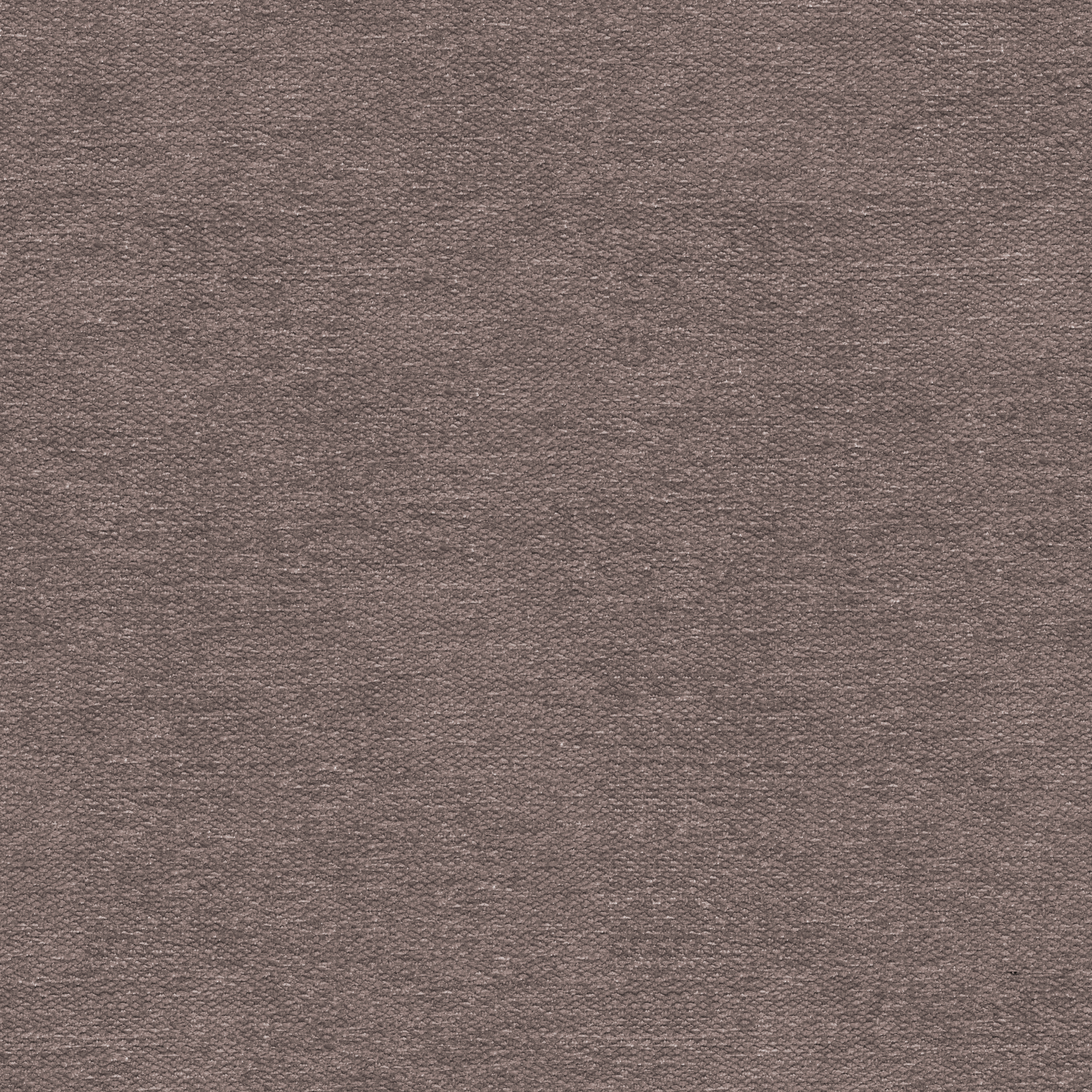Aterno 34 violett