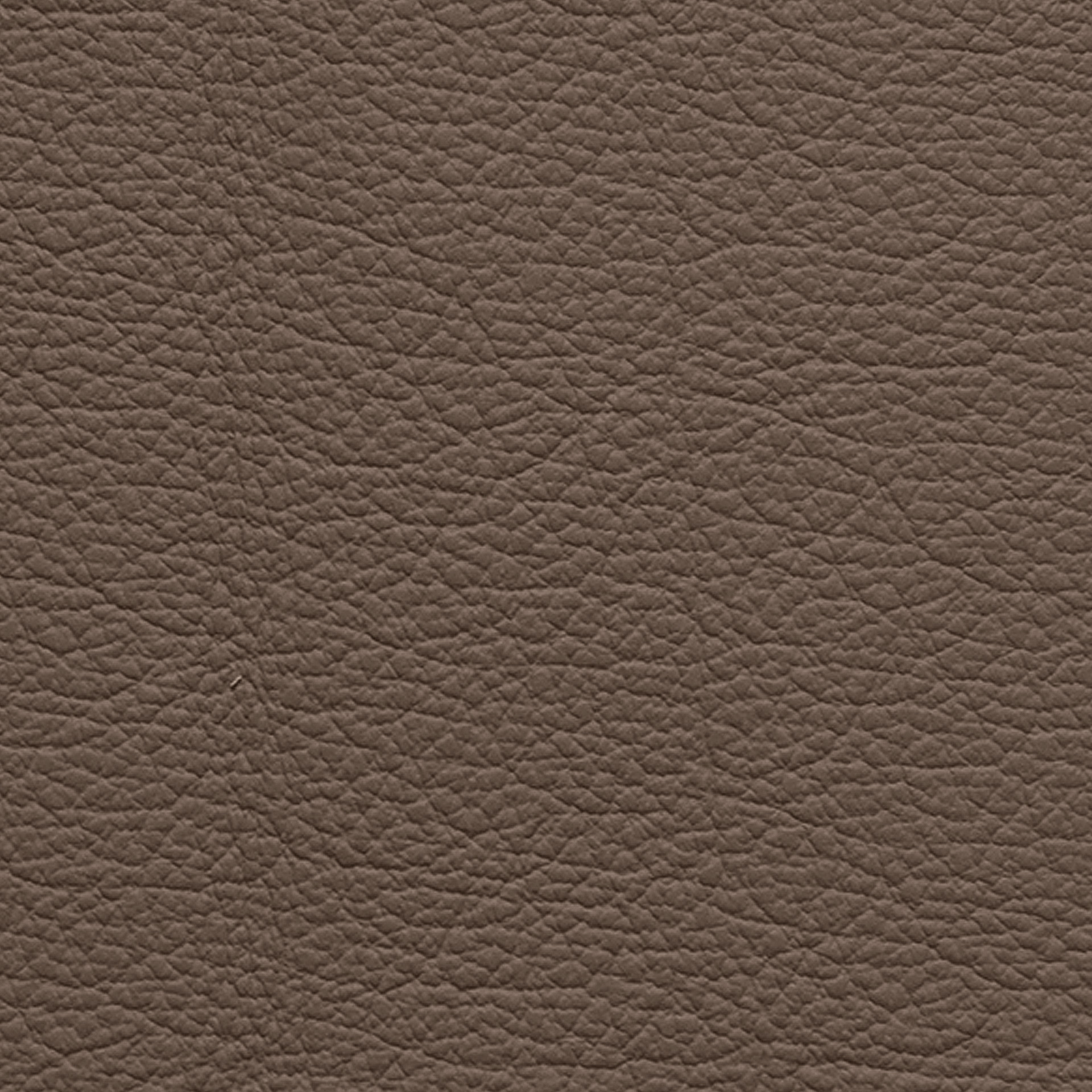 Echtleder Ocean 501 argent