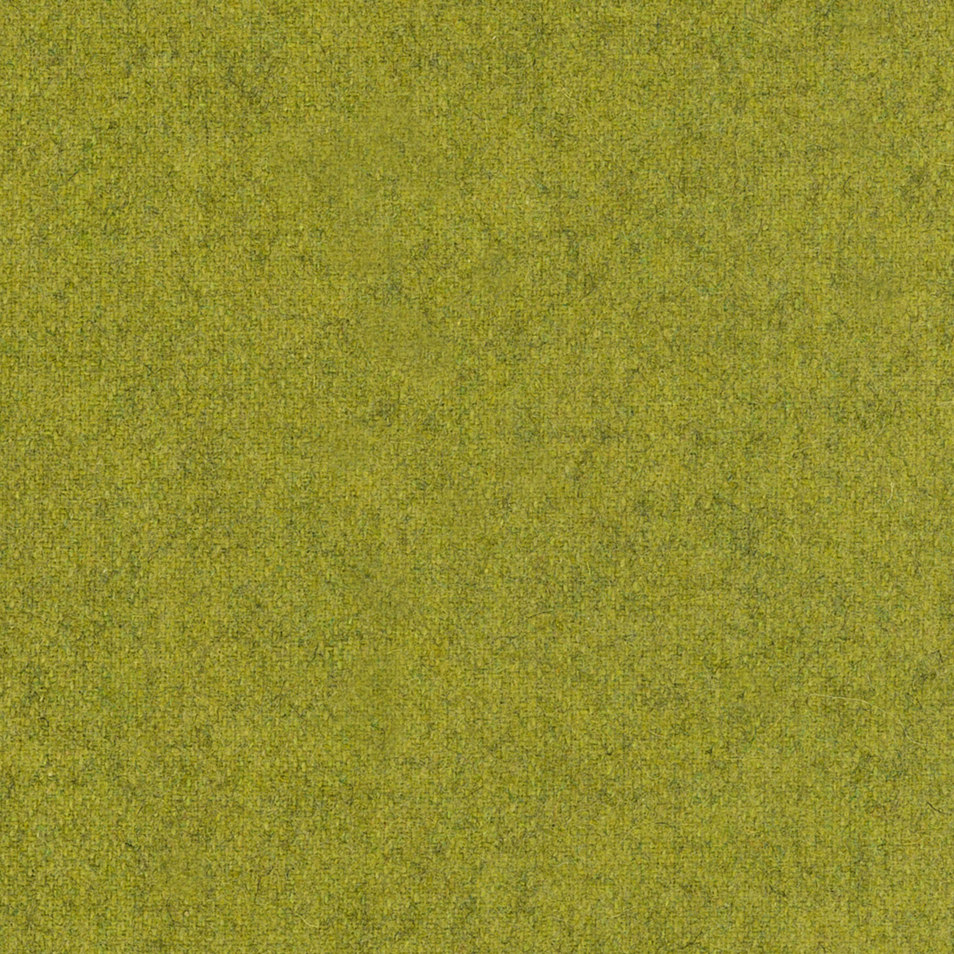 Woolland 08