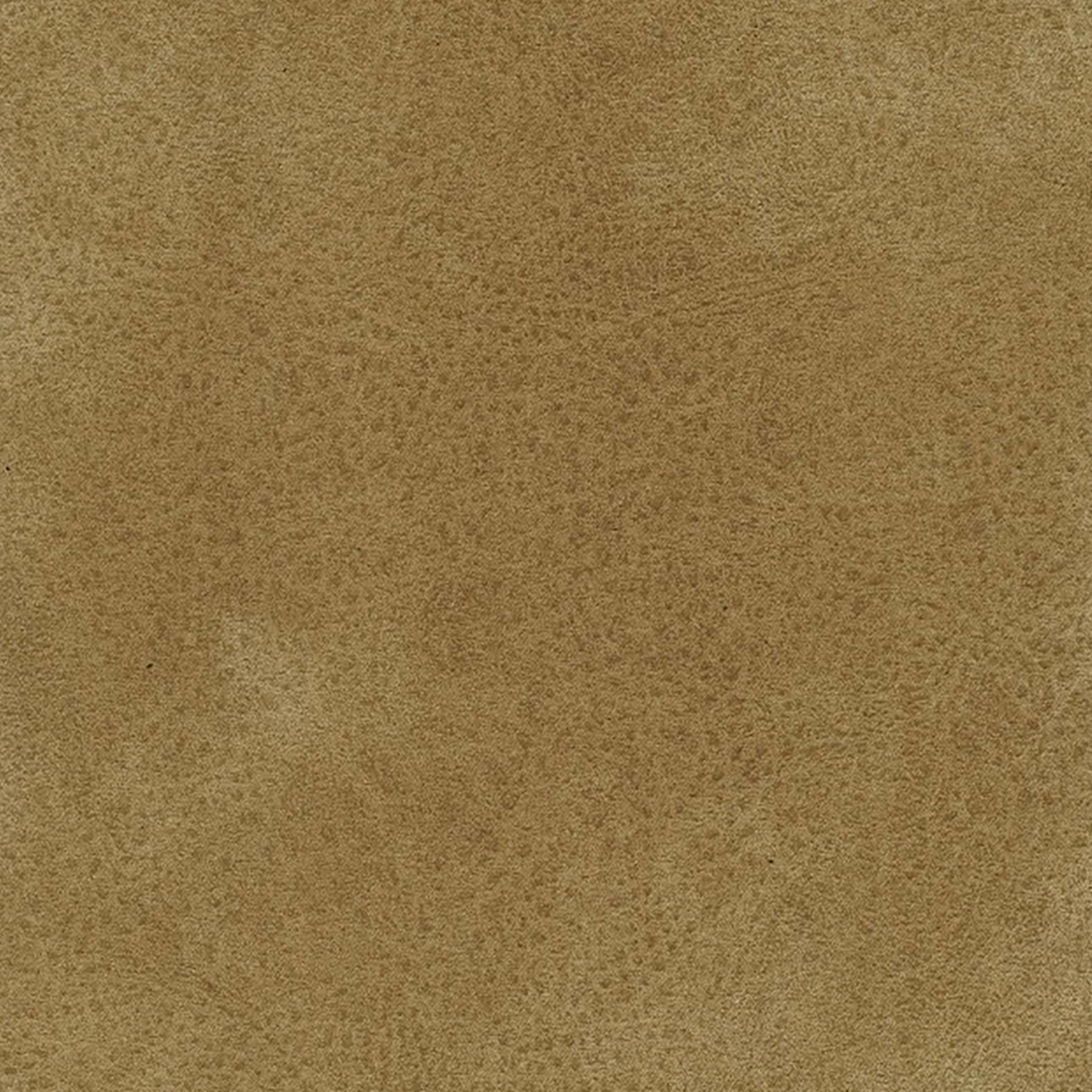 Büffel 03 beige
