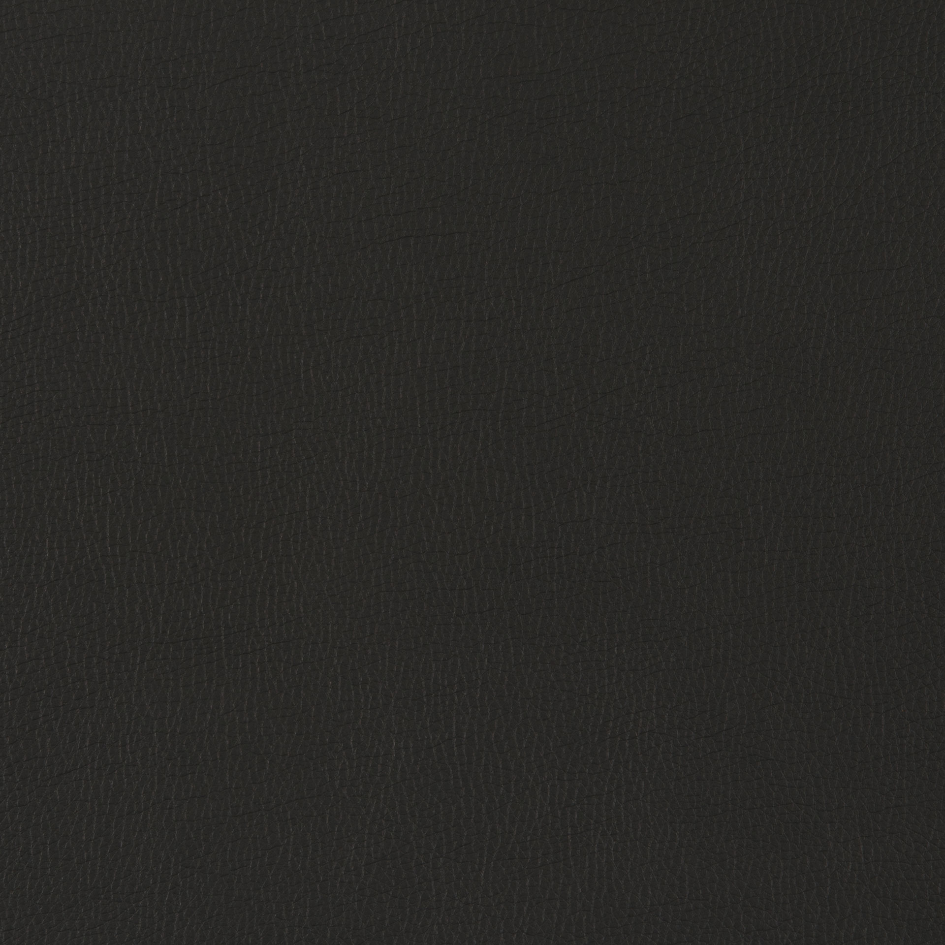 Lotos 7006 schwarz
