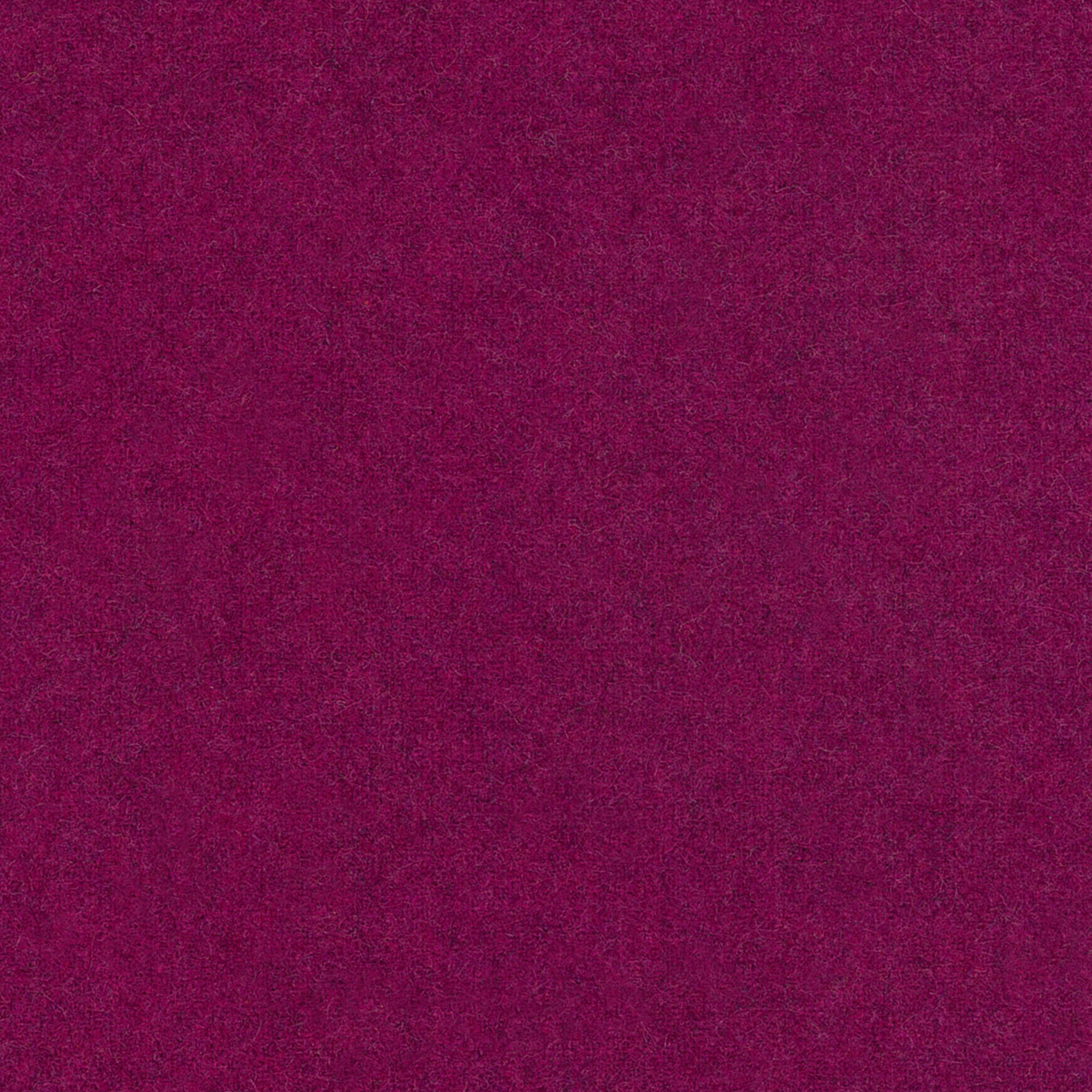 Woolland 79