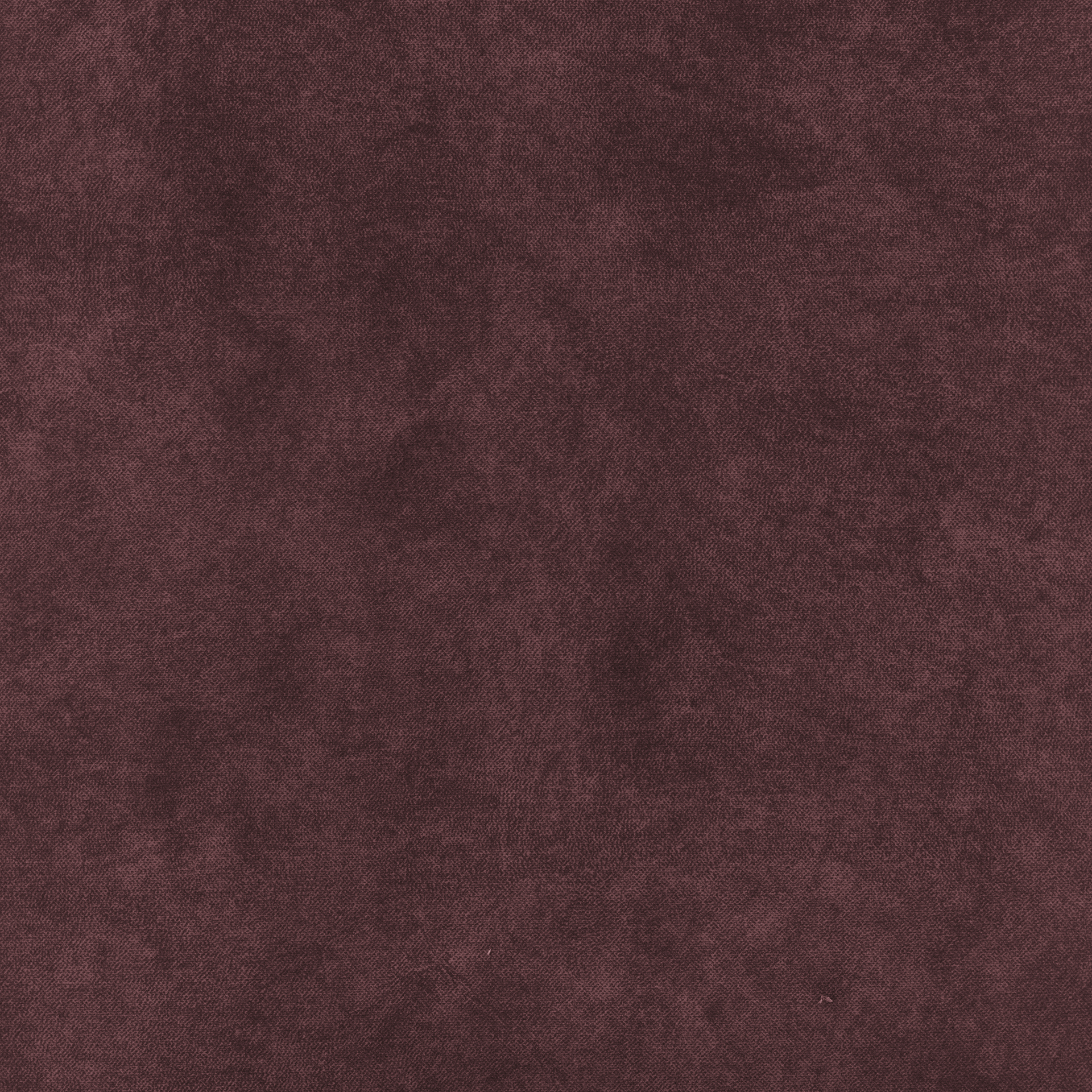 Amour 5509 brombeer