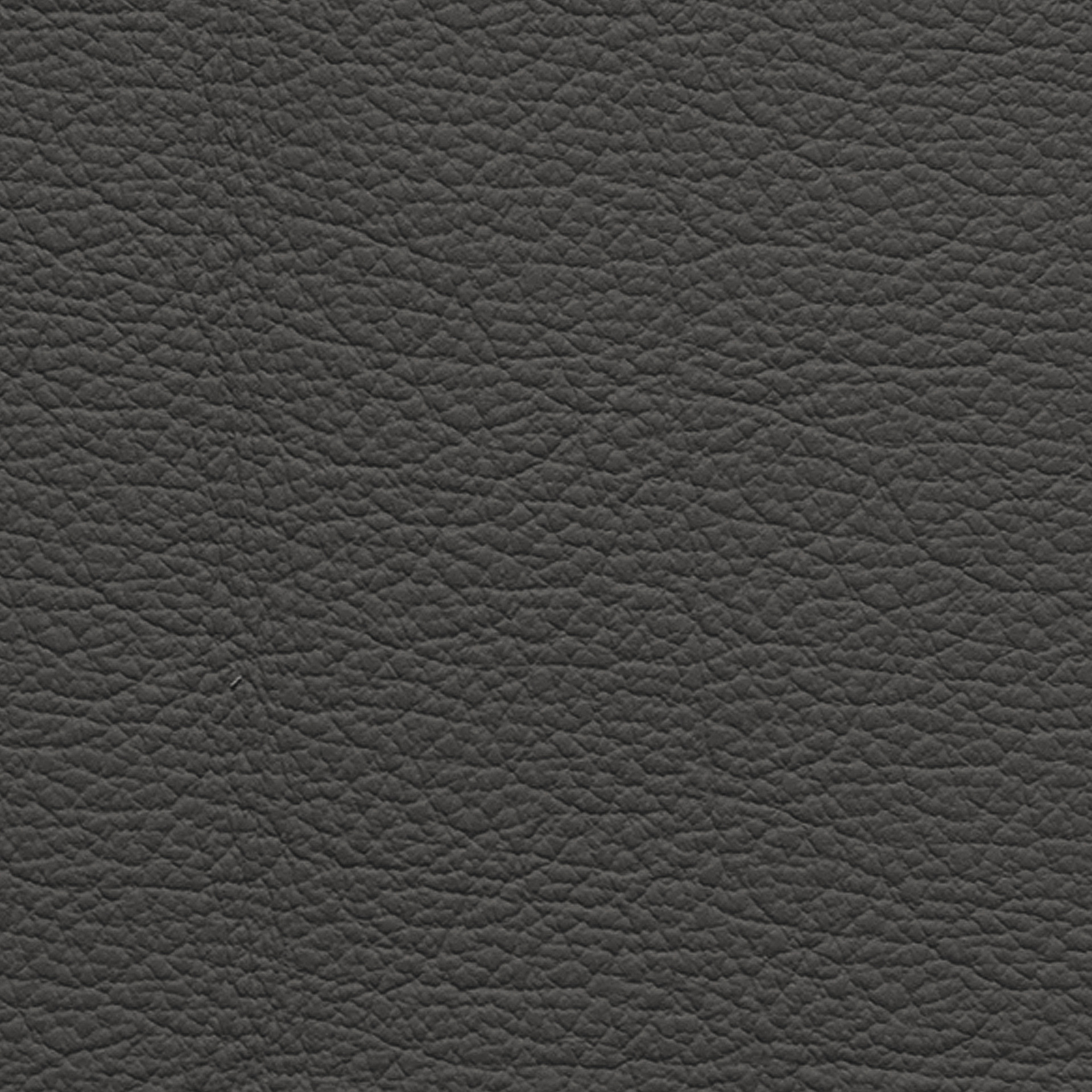 Echtleder Ocean 424 grey