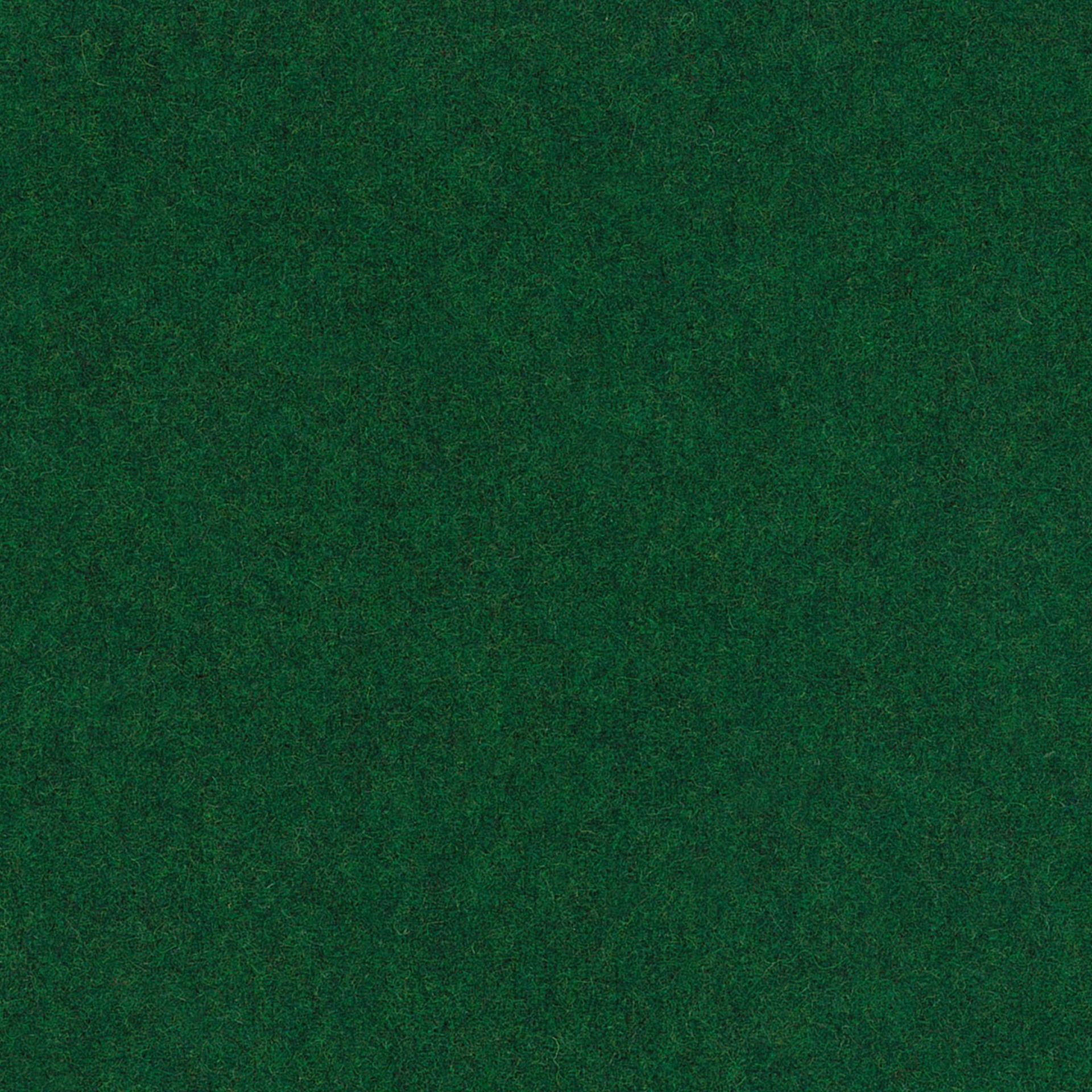 Woolland 38