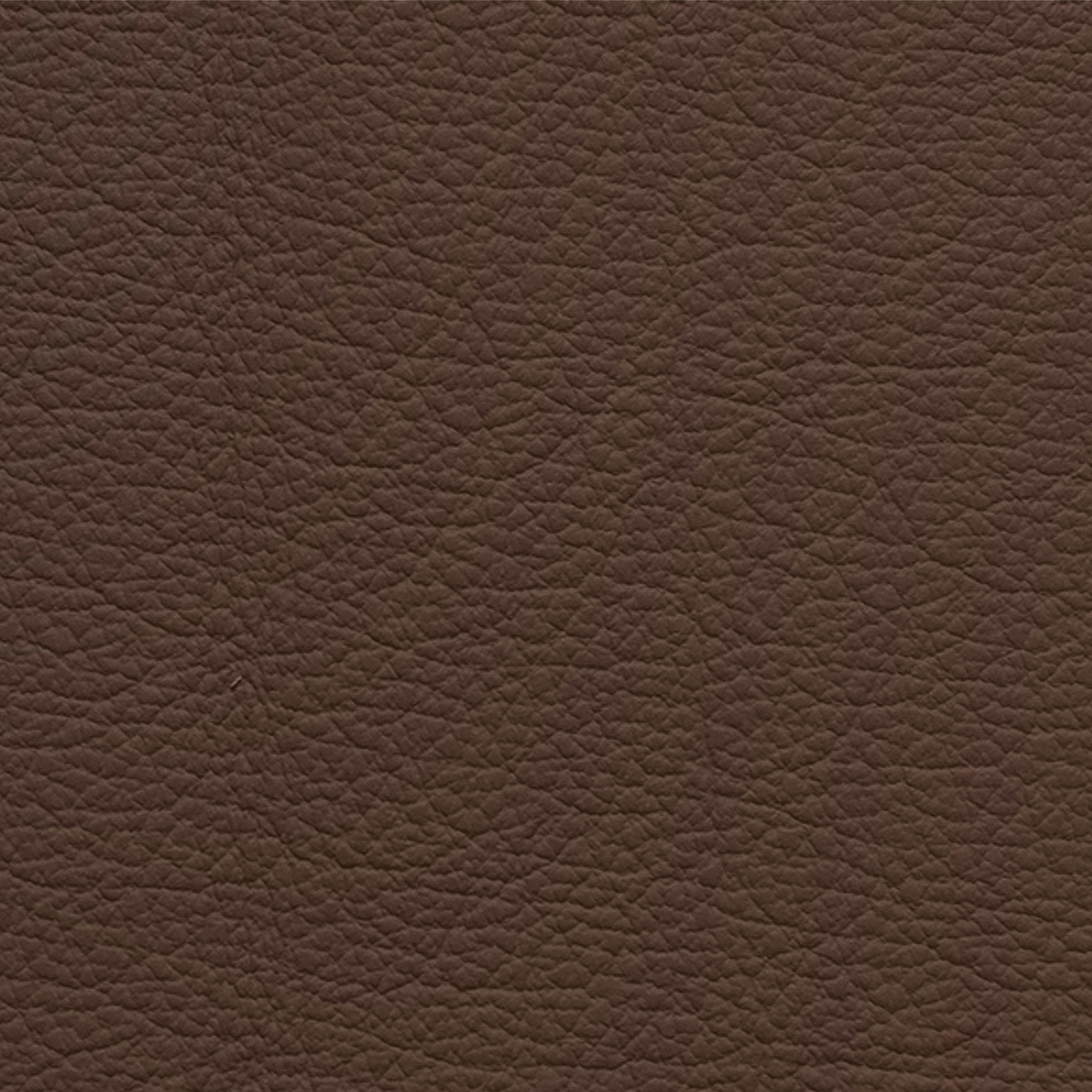 Echtleder Ocean 407 fango