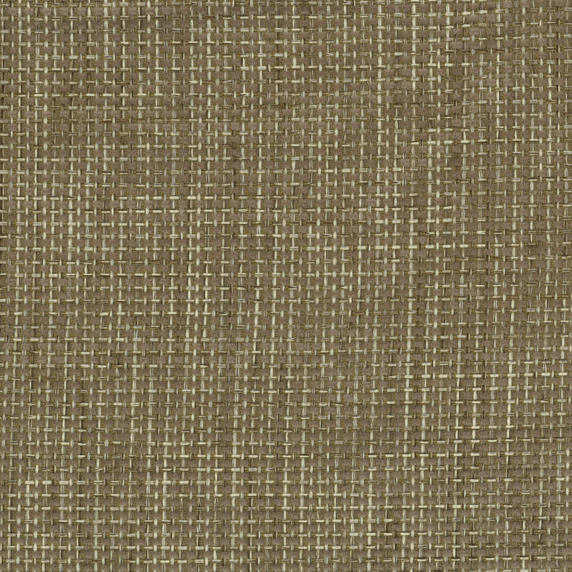 Mondo 06 beige