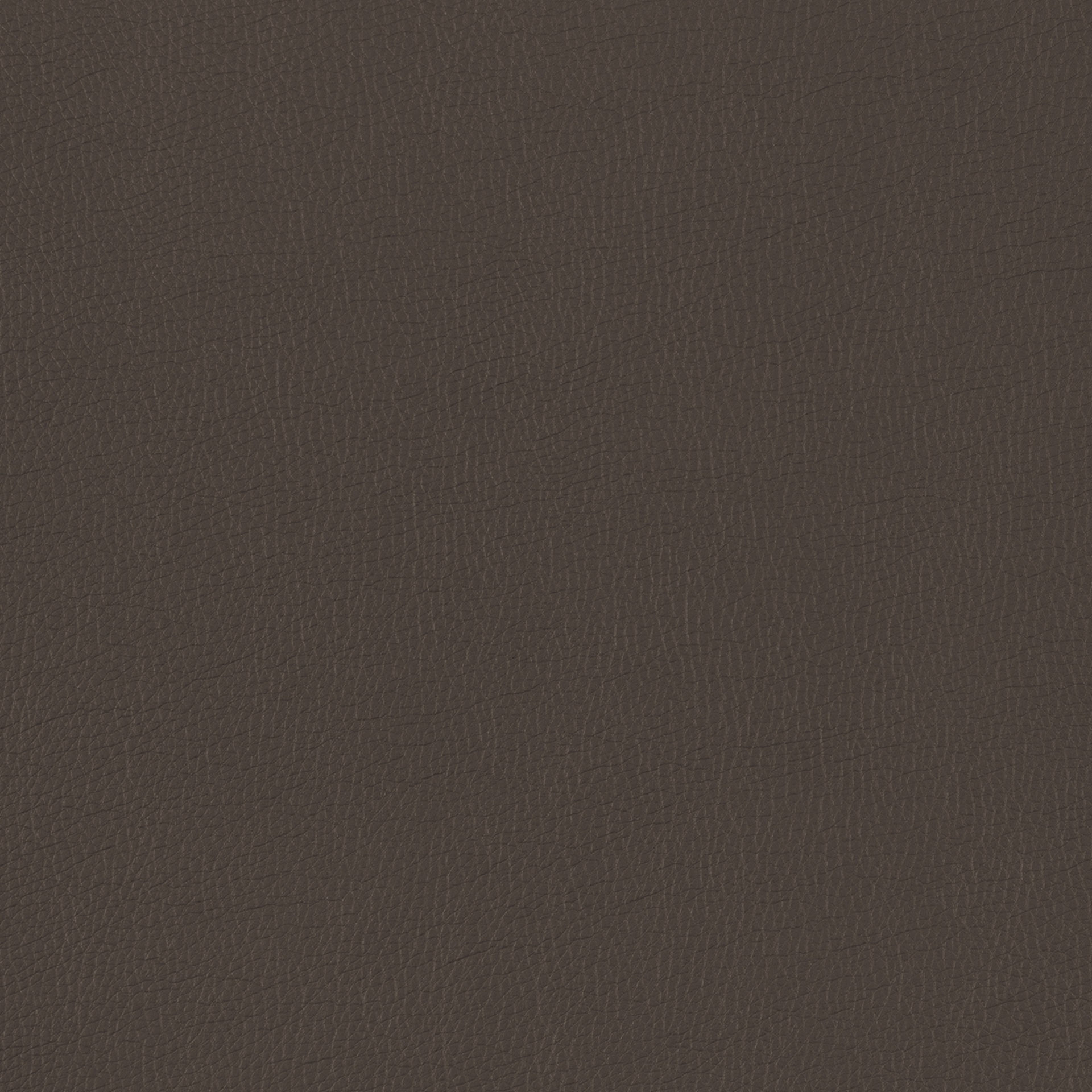 Lotos 5134 anthrazit